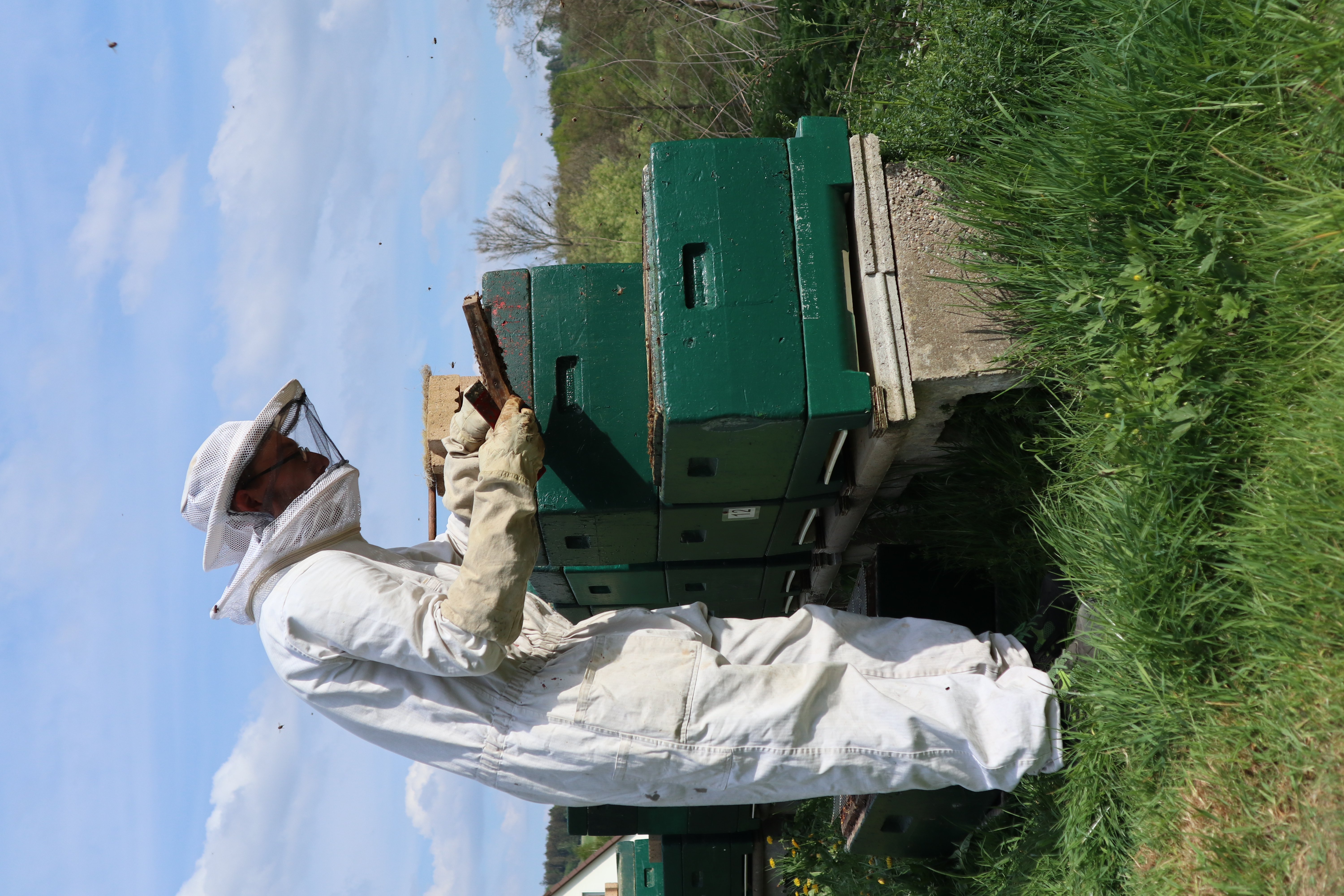 Bild 12